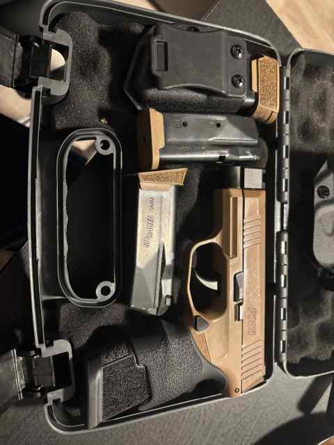 Sig p365 nra model