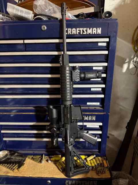 DPMS A15 with scope and light 