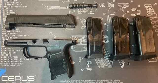 Sig P365 Grip Module, Mags and Slide 