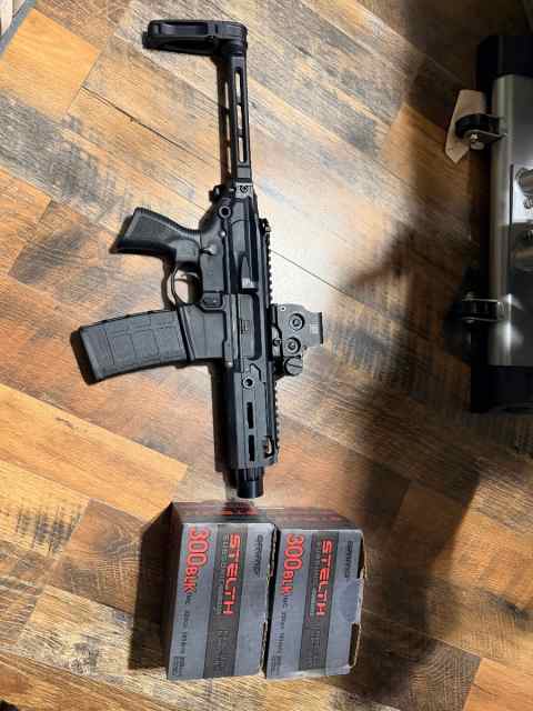 Sig Rattler 300 blk with eotech exps 2 and ammo