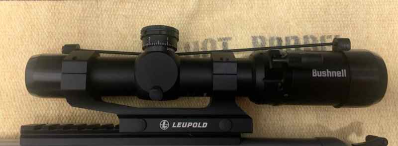 Bushnell AR Optics 1-4x24 in a Leupold mount