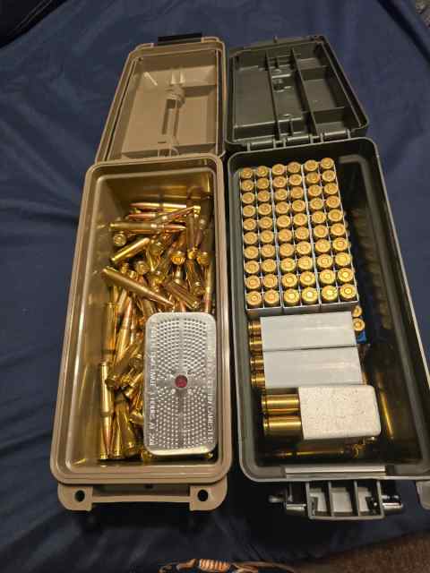 308 Winchester