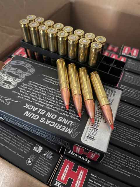 Hornady Black 110gr V-Max 300blk