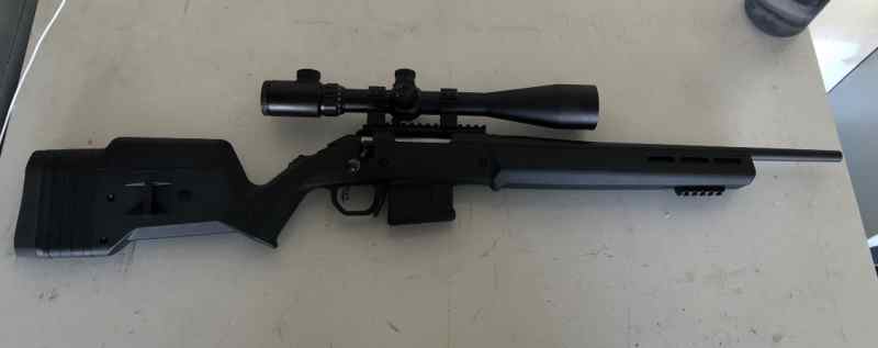 Ruger American 308