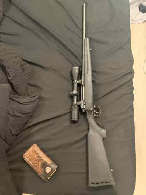 Savage .308 and Ruger precision .22 