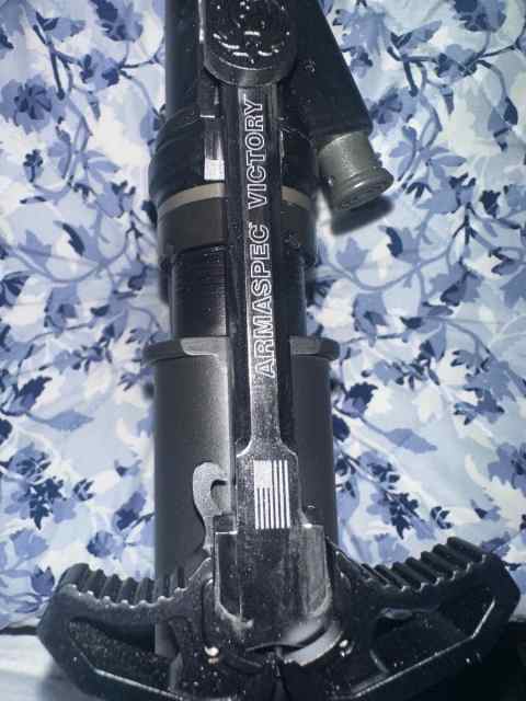 Ruger ar15