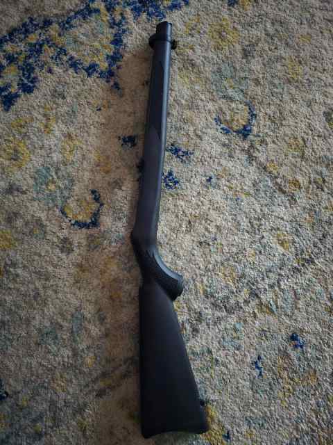 Ruger 10/22 stock