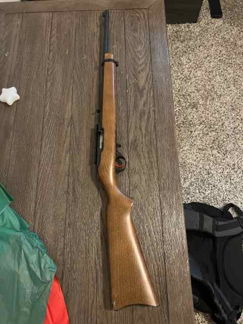 .22 Ruger 10/22