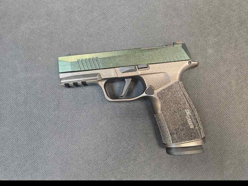 Sig.1.jpg