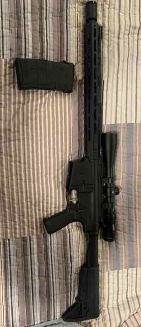 IMG_2459.jpeg