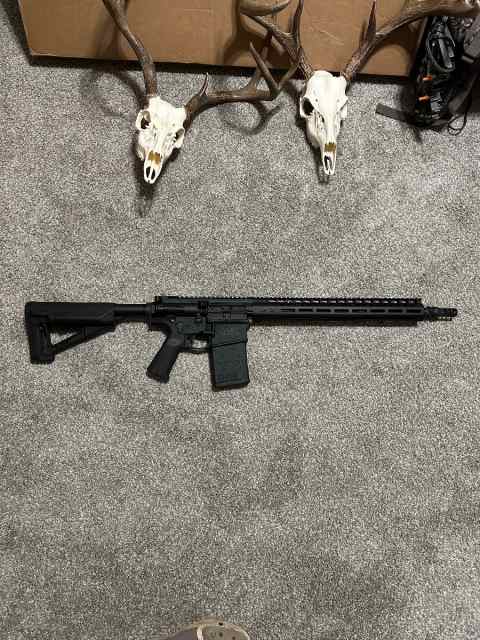 Smith and Wesson ar-10