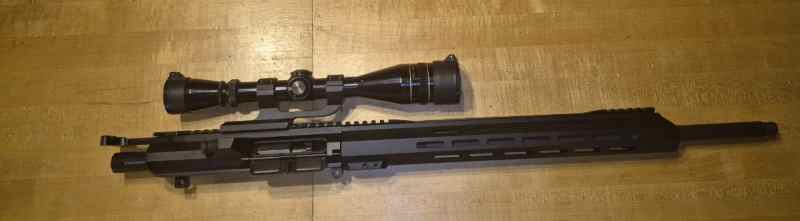 243 Winchester AR-10 upper