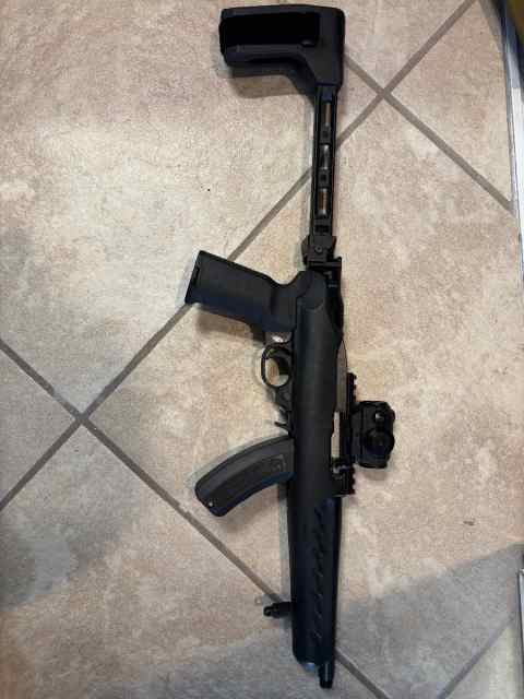 Ruger 10/22