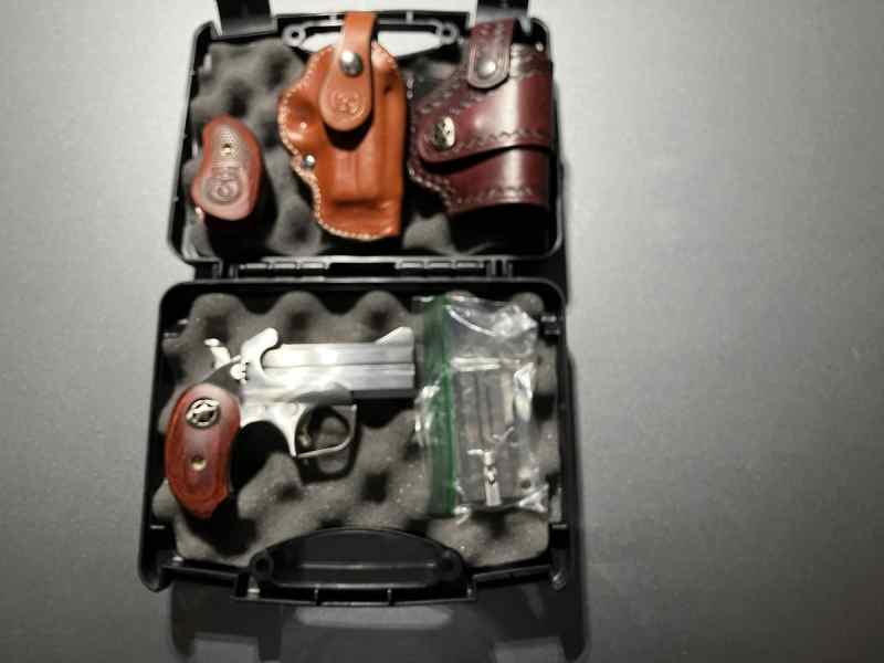 Snake Slayer Texas Defender Derringer