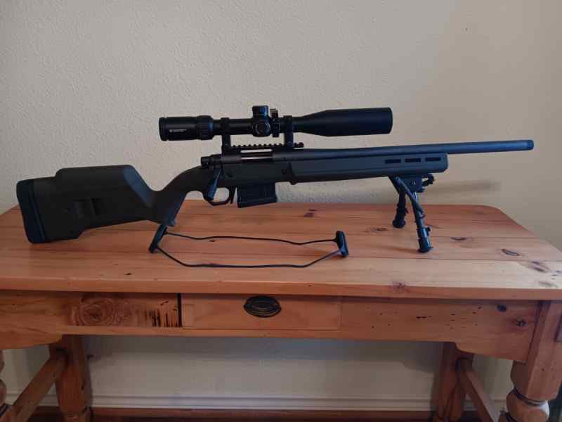 Remington 700 308