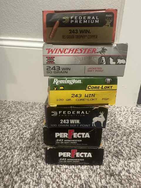 ammo243.jpeg