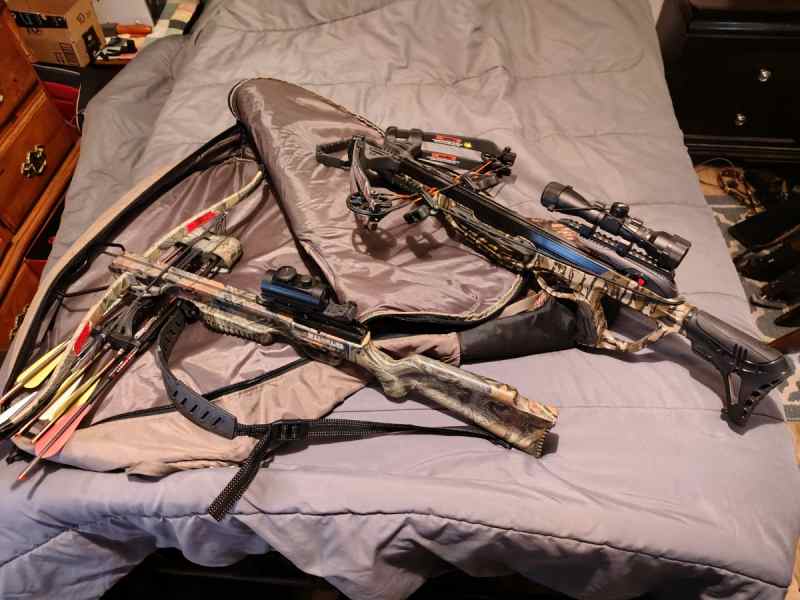 Cross bows 