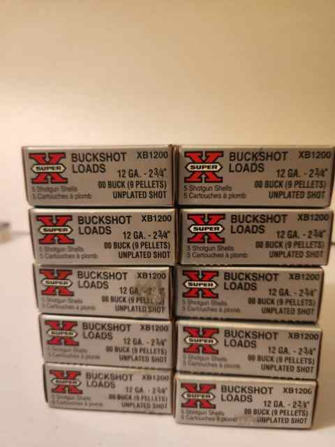 12 ga Win  00  buckshot - home defense/hunting 