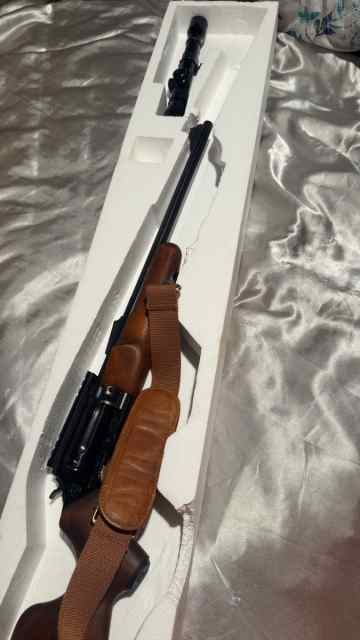 Rossi circuit judge 45/510