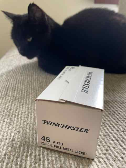 Winchester 230grain 45 ACP 1000rounds $400