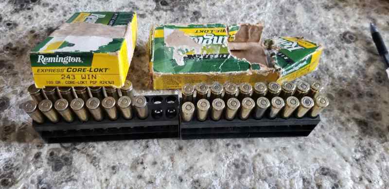 35rd remington 243