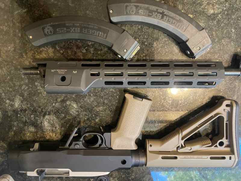 Ruger 10/22 takedown w/ Chassis
