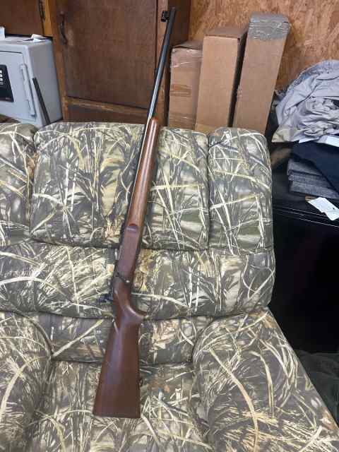 Remington 513T 22LR