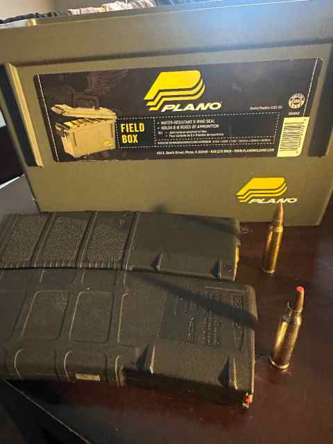 .223 and 2- 30rd mags 