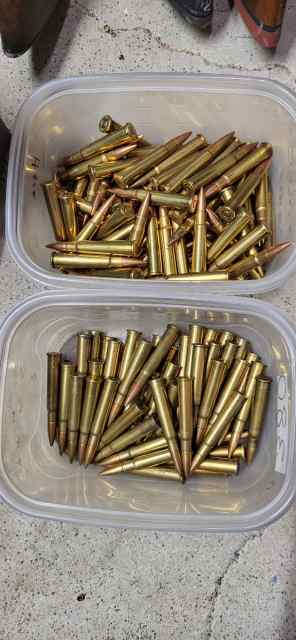 303 British ammo