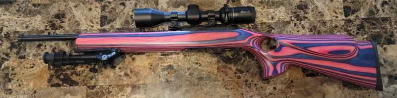 Custom ruger 10/22
