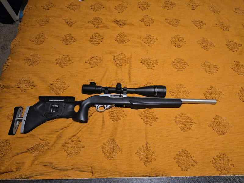 Ruger 10/22 with Aftermarket Bull Barrel and Stock