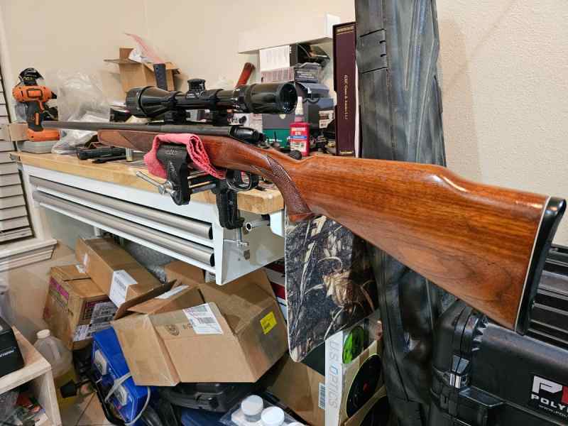 Remington 788 in 223 